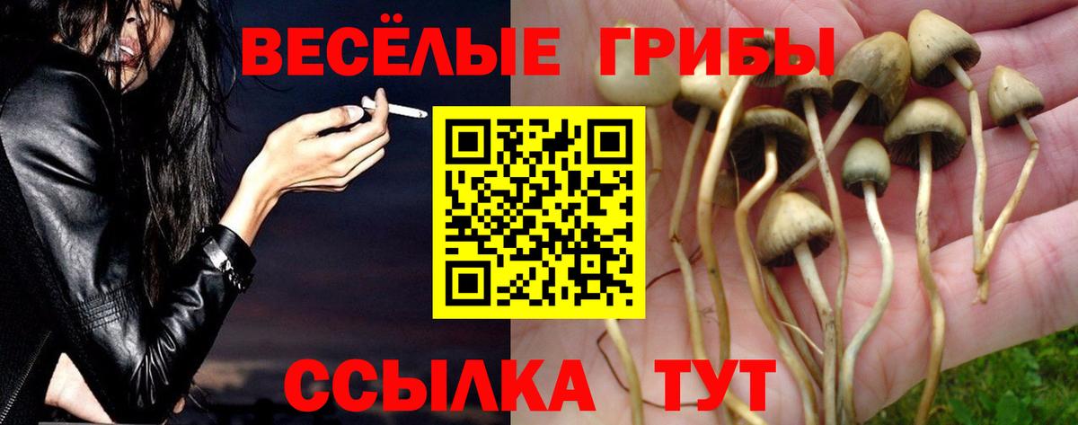 Джанкой  Псилоцибиновые грибы Psilocybine cubensis  что такое наркотик  Вход с VPN 
